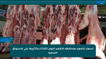 أسعار اللحوم بمحافظة الأقصر اليوم الثلاثاء وتأثيرها على الأسواق المحلية